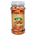 Holy Almondnuts 100 gm glass jar | হলি কাঠ বাদাম ১০০ গ্রাম কাচের জার